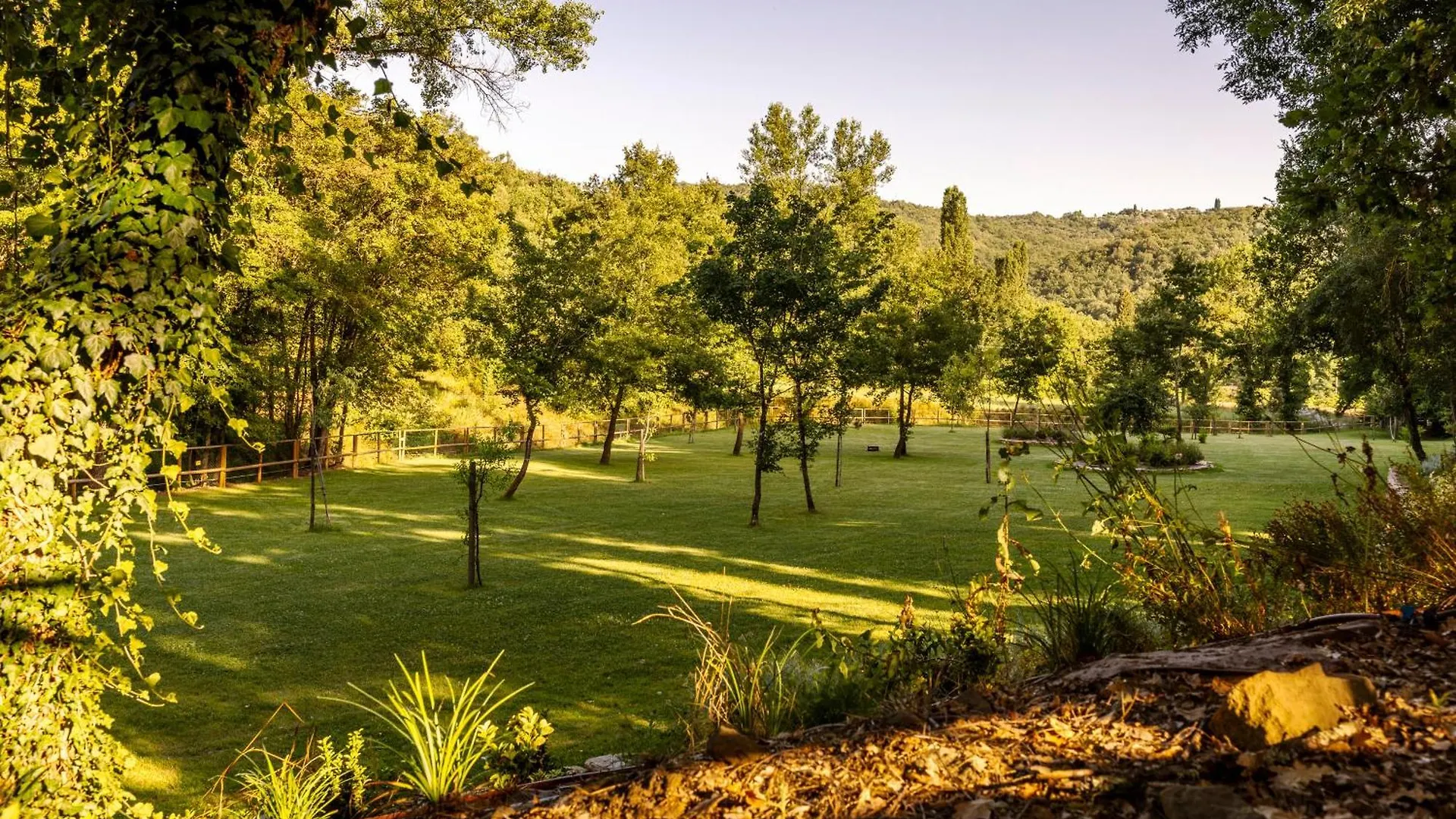 Podere La Casina Country Chic Rigomagno Apartment